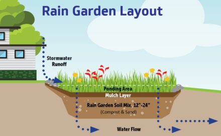 Bringing Baffin Back – Sarita Rain Garden Celebration Dinner!